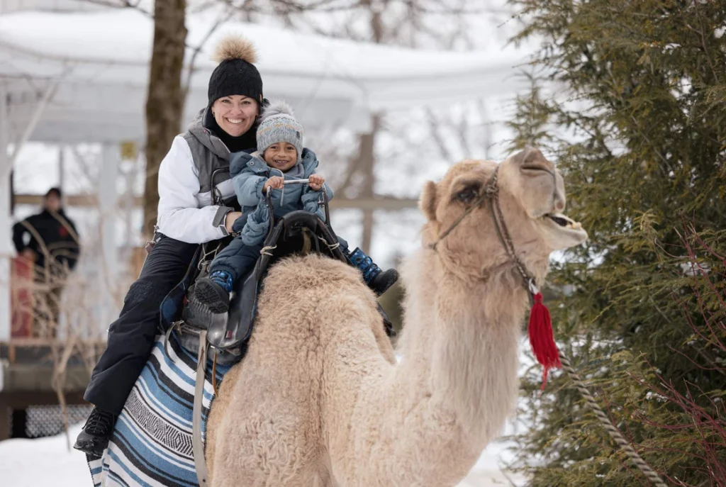 L’hiver au Zoo de Granby