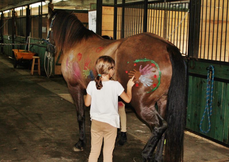 quoi_faire_centre_equestre_image