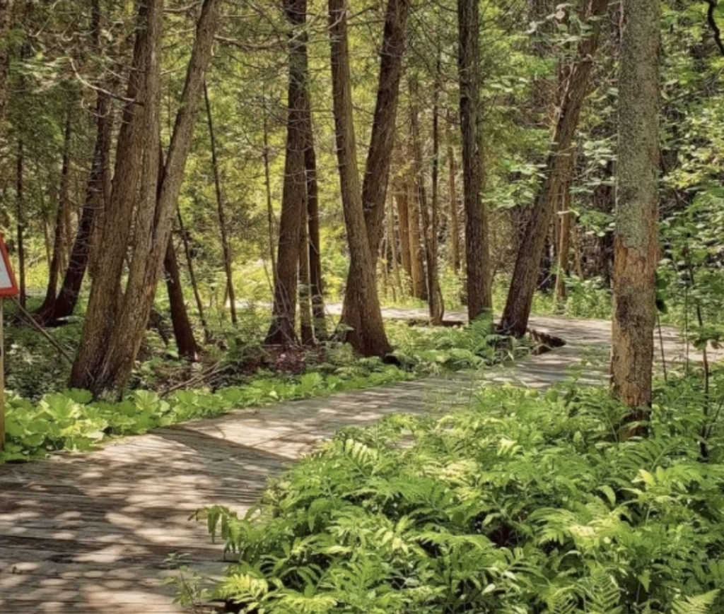 Randonnée au Marais de la Rivières aux Cerises