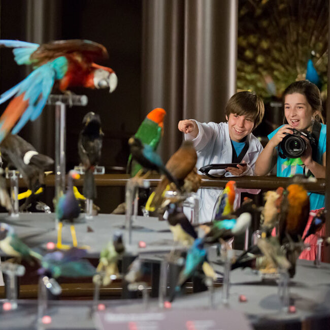 Visite au Musée de la nature et des sciences de Sherbrooke