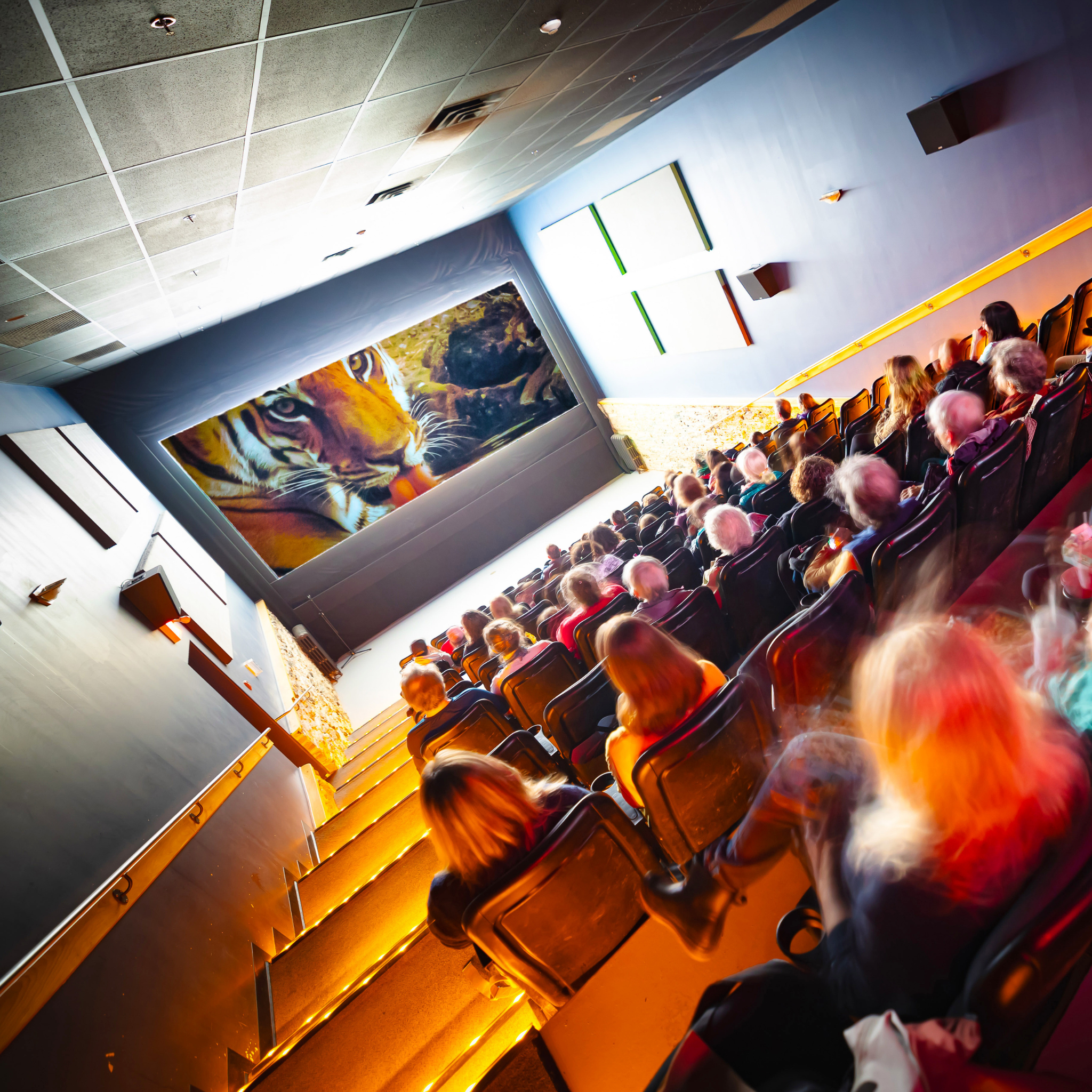 Festival cinéma du monde de Sherbrooke